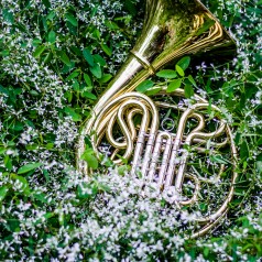 Southeast Horn Workshop 2014